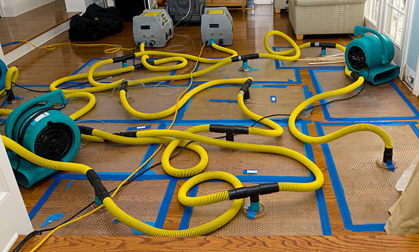 Professional Storm Water Damage Restoration technician working in Stevenson, WA